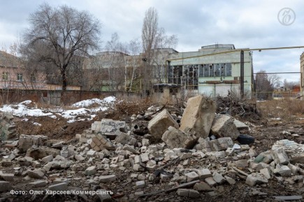 Удвоение девелоперов: в проекте застройки ВЭКСа в Воронеже появились новые участники