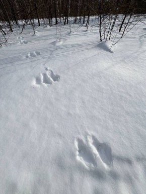 ��� �����?