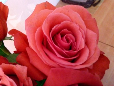 ��� �������� �������� ��������� ������������ ����