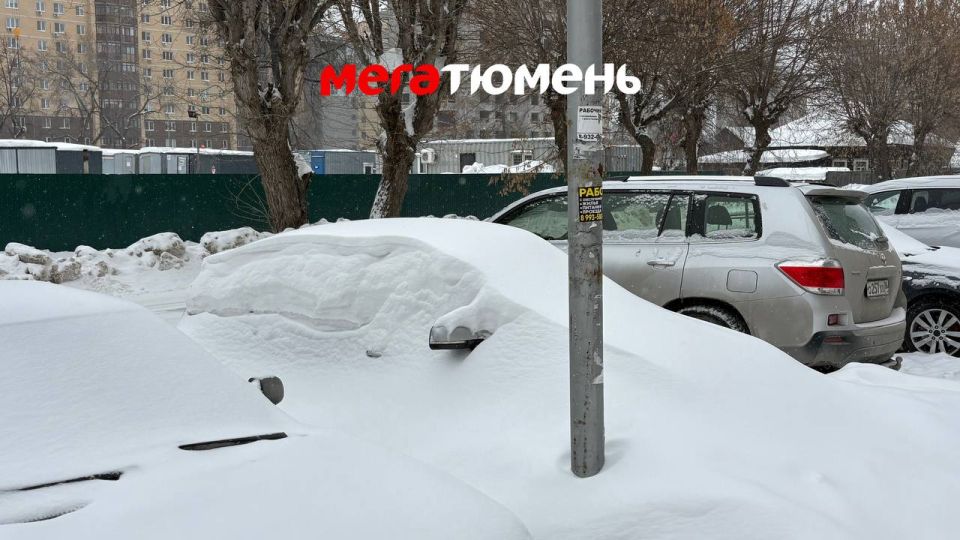 Март нынче такой. МегаТюмень