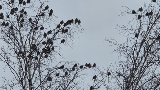 ������� ��������� �������� ��������� � �����!