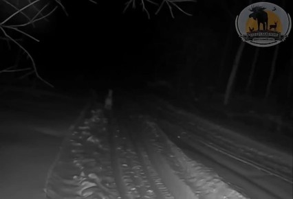 ����������� � ��������! ��� ���� ����� ��� ��� ������