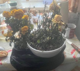 ��������� � ���������� 8 ����� ������ ����� � �������� �� ��������: ���������� � ������������