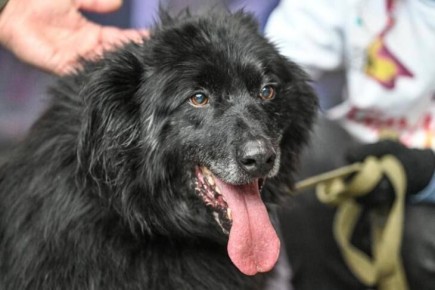 �������� �������� ���� � 73 % ������� �������� ���������� ������������ ������