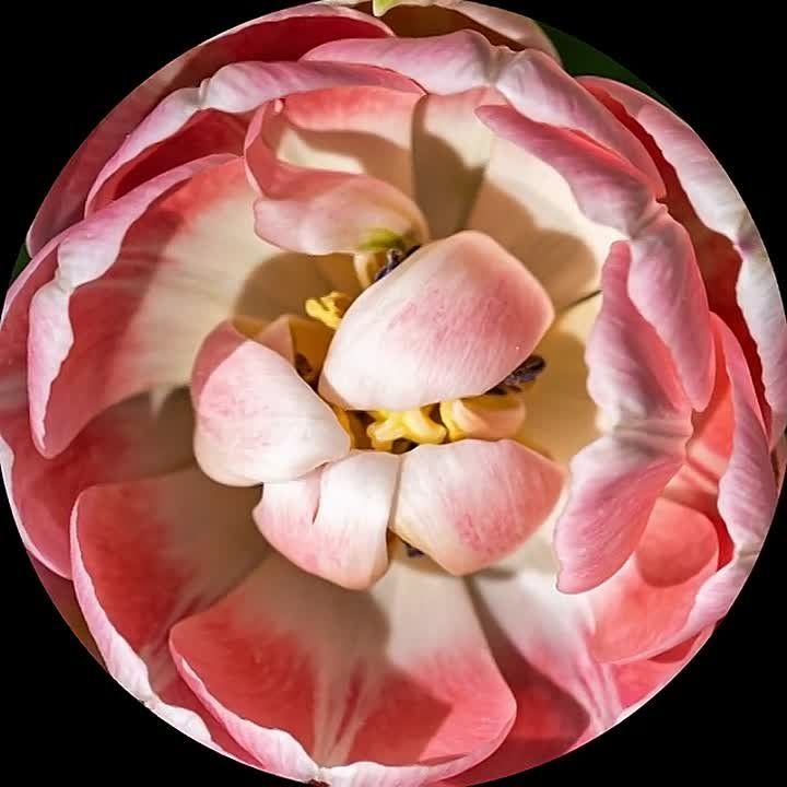 �� ����� ��� ���� � �����, � � ��� � ������ ��� ��-��������� �����