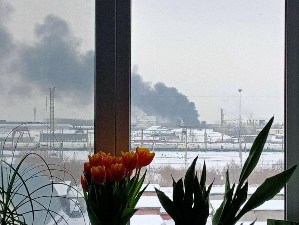 � ������ ��� ��������� ������ ����� ������� ����