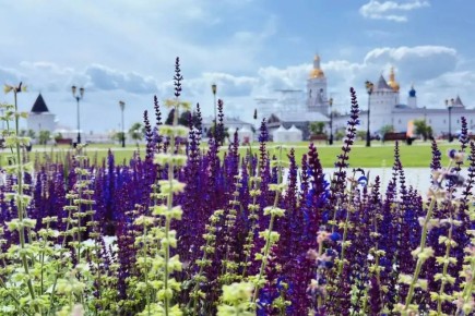 ���������� ����������� �����!