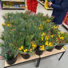 � ������ �������� ��� ��������� ���� �� ��������: �� ������ �������� ��������� ��� �� 8 �����