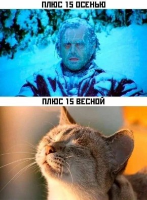 � ������ ������ ������������ ����������