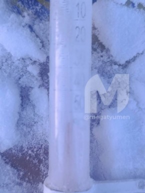 �������� ������ �� ������ ������� (����) �� ����� �����������