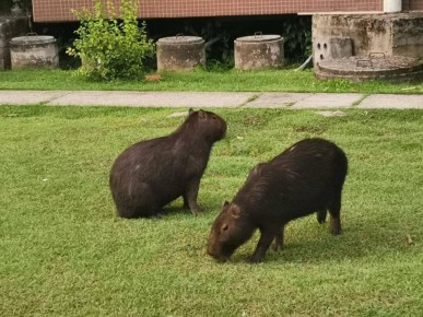 ������� �� ����, 10 �����: