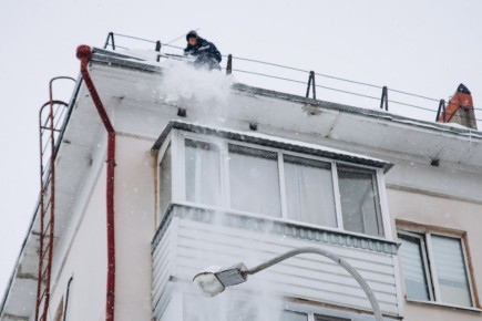 �������� �� ����� �����. �������� �� ��, ��� ����� �� ���� �� ��. ��������, 44, �������, ����� �� ������ ����� � ��� ������� ����������� � ��, ����� �� ����������: ������ ��� ��������