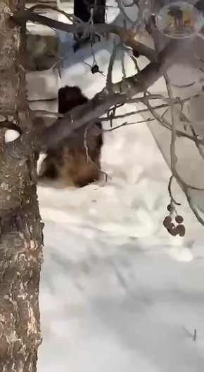 ����������� ��� ��������� � ����� � ������� ���������