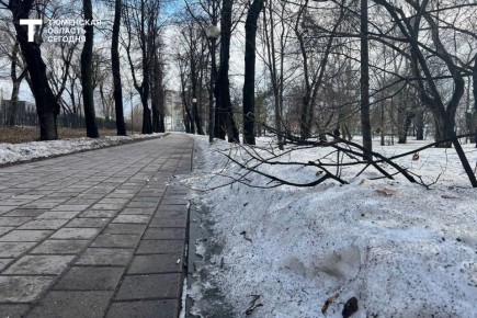 � ��������� ������� ��� �������� �����: �� +7 � ��������