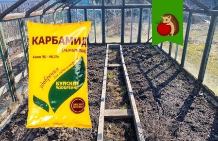 Когда мочевина не поможет: важные моменты использования удобрения