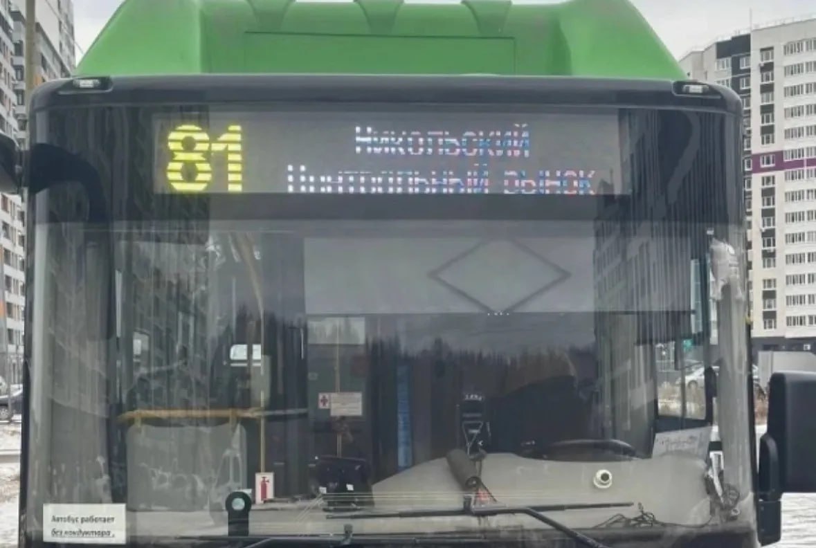 81-й маршрут в Тюмени начал работать оперативнее: на линию вышел дополнительный автобус