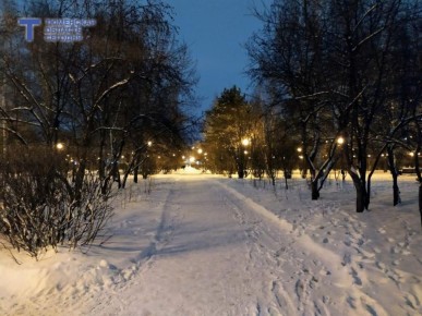 Парк с холмами и дождевыми садами появится в Тюмени на пустыре