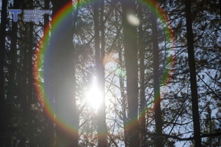 Прогноз погоды в Тюмени на 15 марта