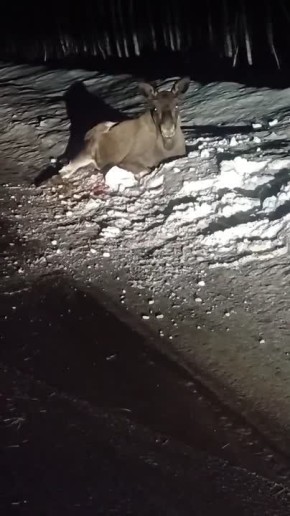 �������� �������� ��� �����: ������� ���� ������� ��-�� �������� ���� �� �������