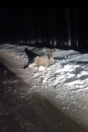 ������� �������� � ������� ���� �� ������