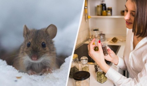 ��� �������� ���� ��� �� ��������: ������� �������� ��� �����