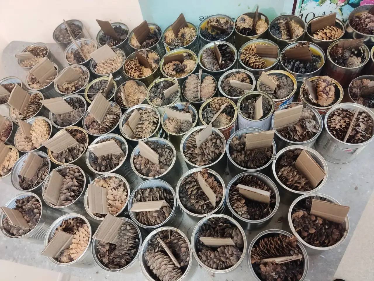 В рамках социальной гостиной изготовили более 90 окопных свечей В рамках социальной гостиной изготовили более 90 окопных свечей