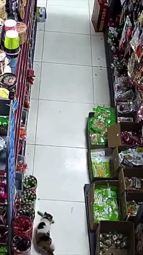 ����������� ������� ����������: ����� ������ ������