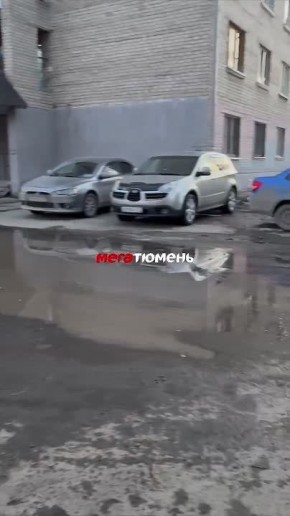 ���� �������� � ����� ������� �������� �� ������ ��������, ����� ������� ������� ������� �� ��������