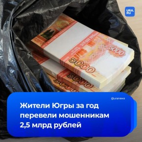2,5 млрд рублей перевели мошенникам за год жители ХМАО