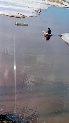 Юного капитана чугунной ванны выловили из реки в Тюменской области