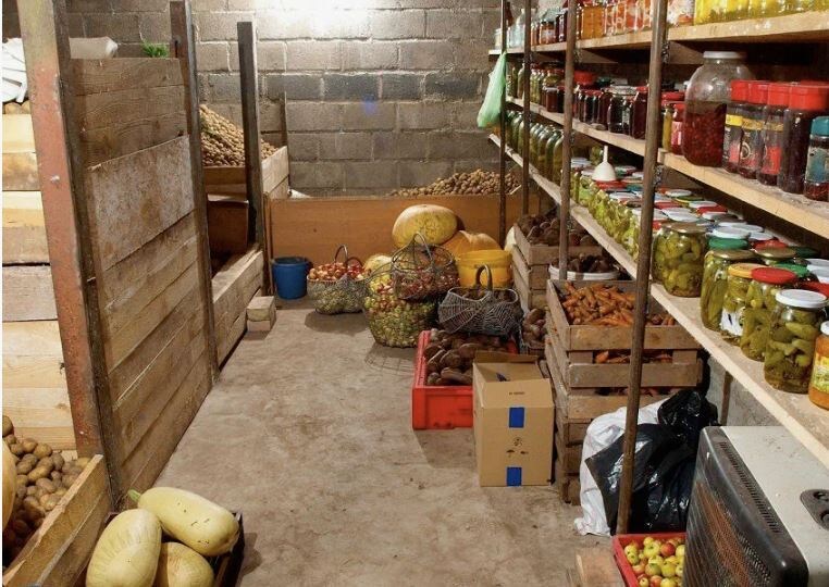 Эко-способы сохранения овощей: как природные антисептики могут помочь