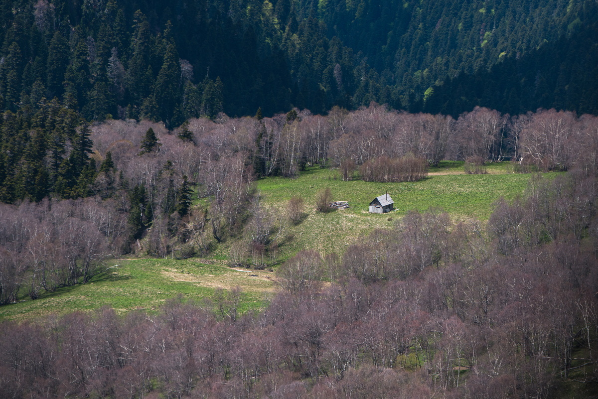 В заповедниках могут появиться новые объекты: законопроект принят в первом чтении