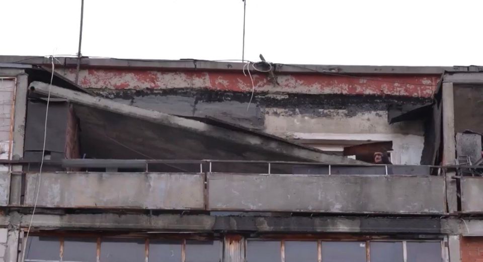 ��������� ��������������� ��������� ������������, ��� �� ������ ���� ����� �����