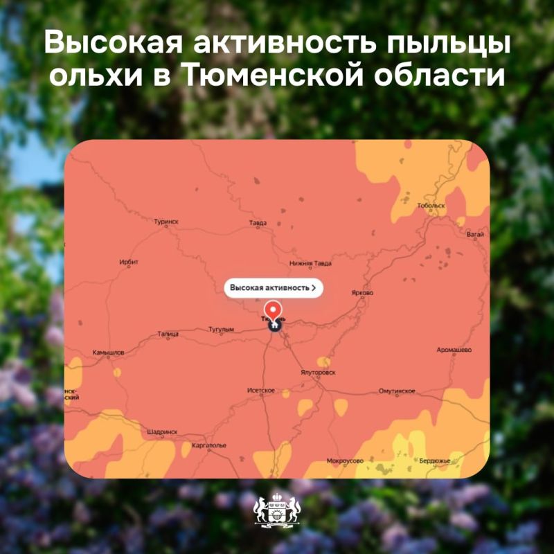 � ��������� ������� ������� ����� ��������