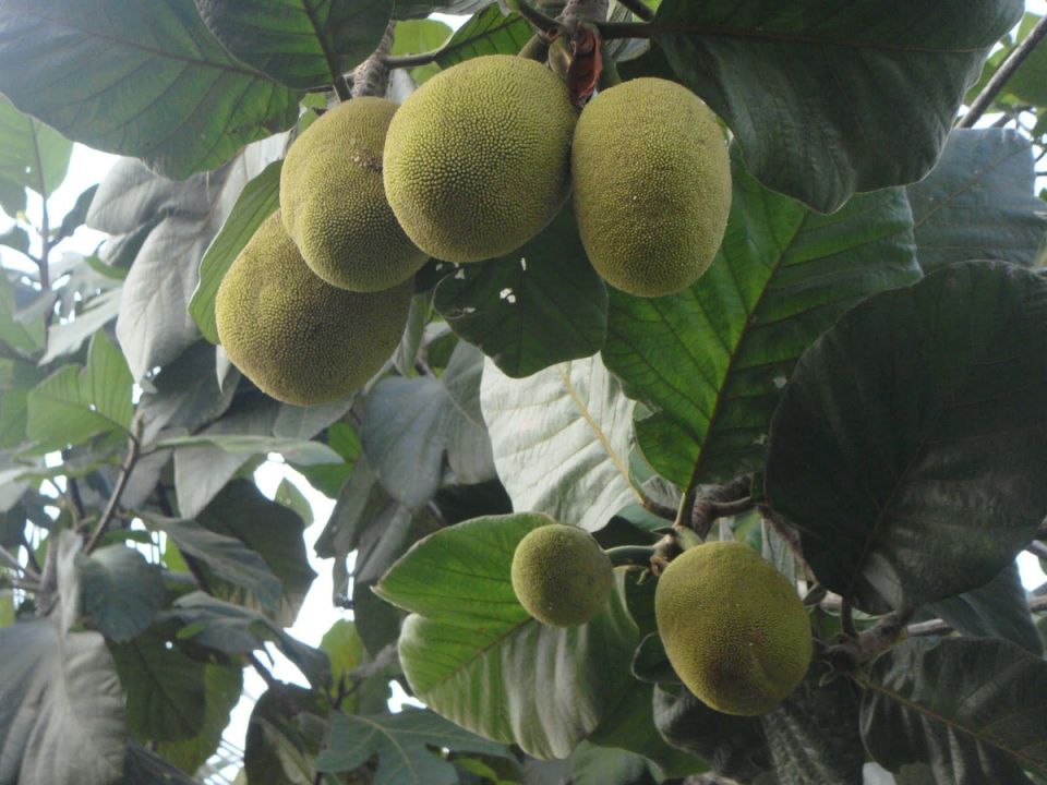 ������: ����������� ����, ������� �������� ������