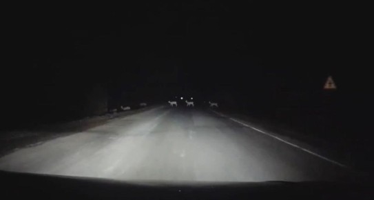 �� ��������� ������ ��������� ������!