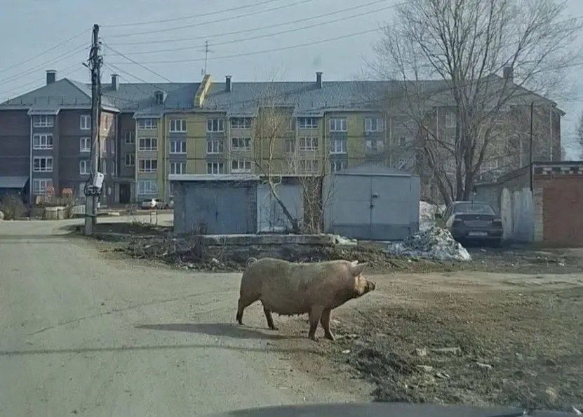 ����� �� ���� �������� � ������� �� ����������