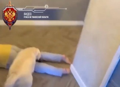 ����-���: ��������� �������� ����������� � ������� � ����