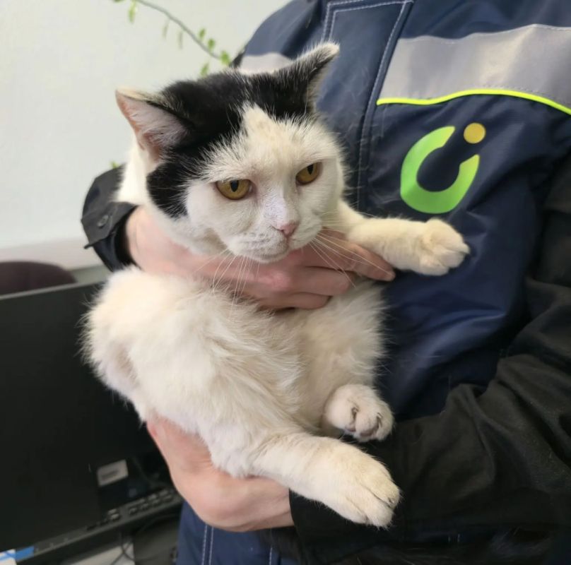 ��������� ������������� ������ �����, ������� ������ � �����������