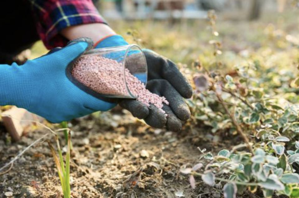 ��� ������� ������� ��������� ��� �������� ������ � ��������� ����