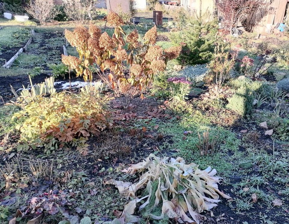 ��� ����������� ��� � ����: ������ �� ������� ��� � �����������