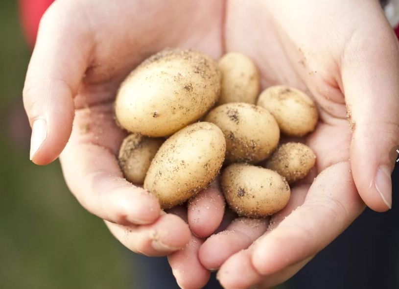 ������ ����� �������� ������ ���������?