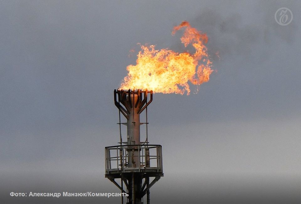 � ���� ���� ��������� ����������� � ����� ������ �������� ���������� ����������� � 34,7% � ������ 2025 ���� �� 49% � ������ 2026-��