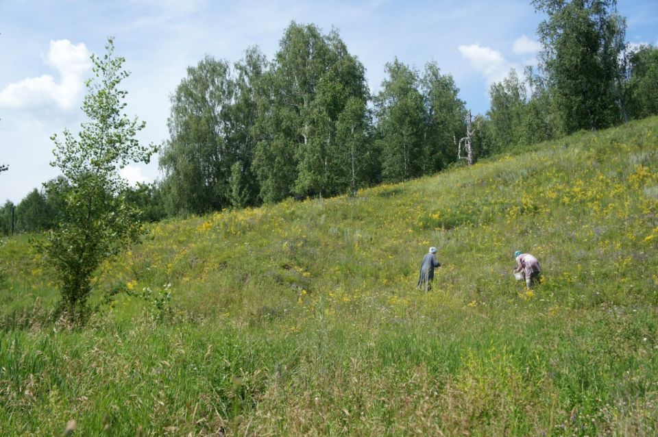 ��������� ���� � ���� �� ����� �������� ���� ��� ��������� �������