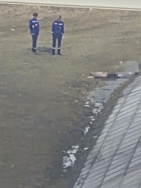 � ����, ������������ � ������ ��� ������ �����������, �������� � ����