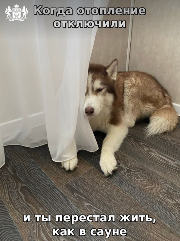 ����� � ������ �������� ���������?