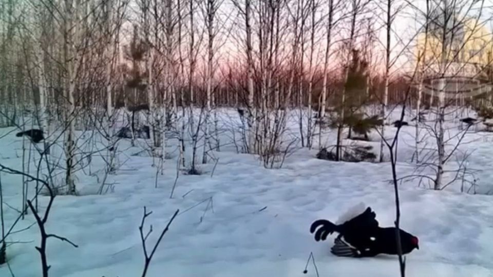 �������� ��������� ������ �� ������ ����������� � ��������� ����