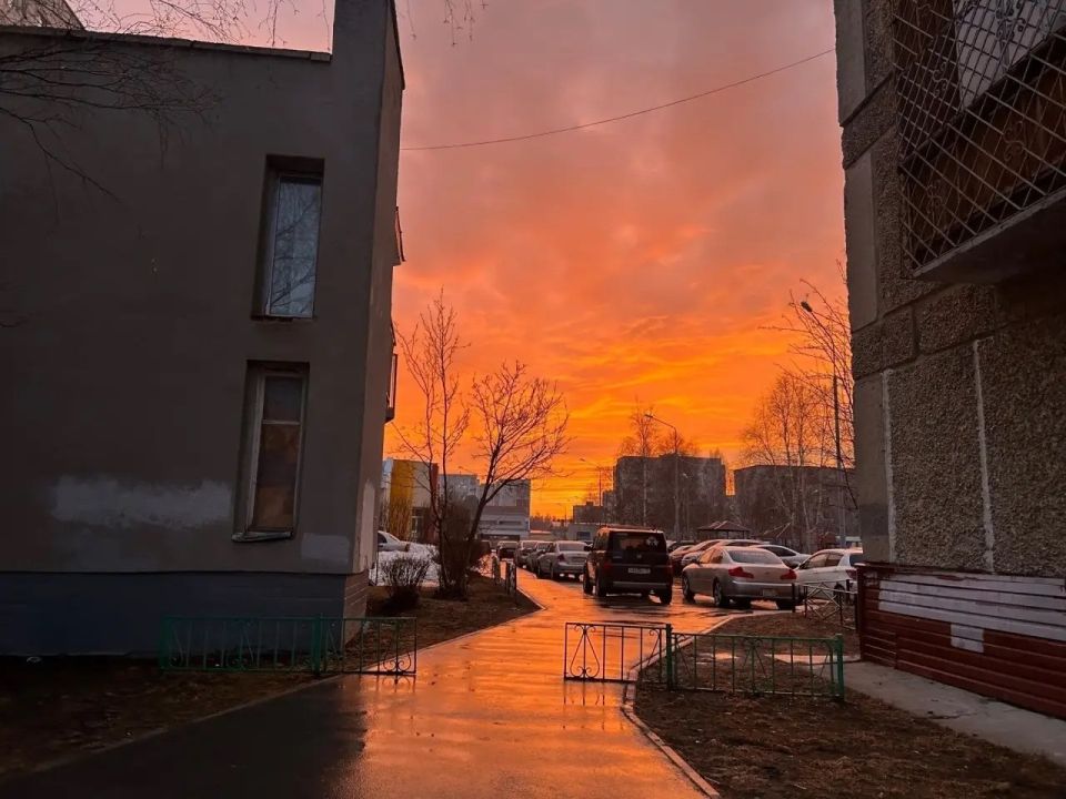 �������� ��������