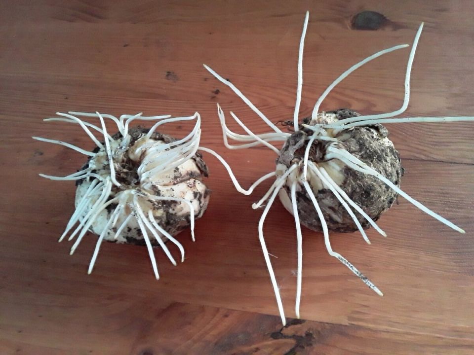 ������ �������������: ������ ���� � ����� ������������ ��������