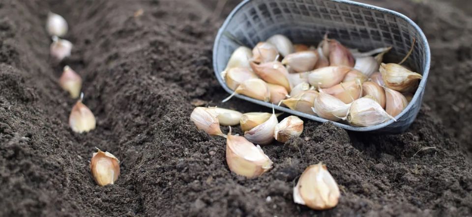 ������ ��� � ����, ������� ������ ����������� � ������